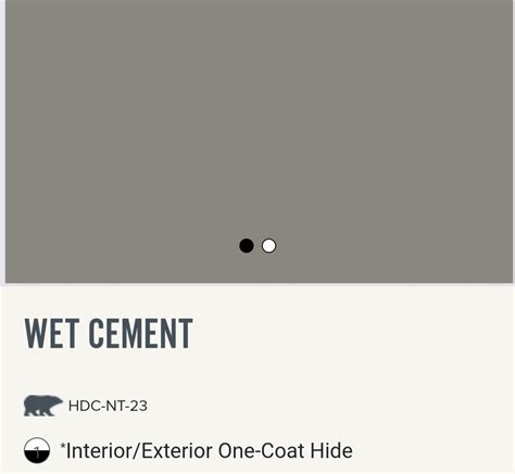 wet cement behr